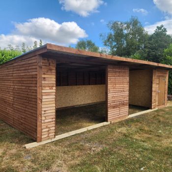 Shelter2