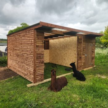 Shelter3